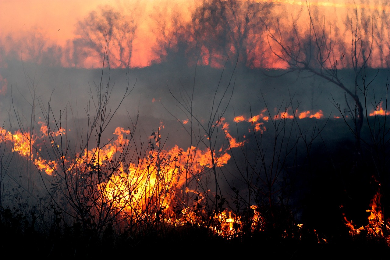 fire, smoke, sunset-1265718.jpg